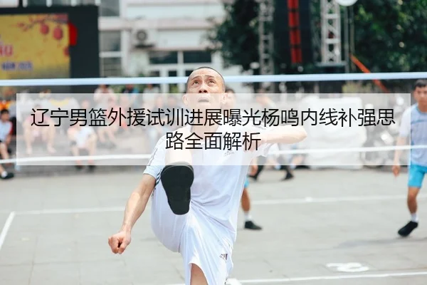 辽宁男篮外援试训进展曝光杨鸣内线补强思路全面解析